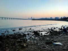 -星海湾跨海大桥