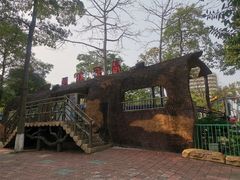 -金砂公园