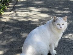 -李叔同故居纪念馆