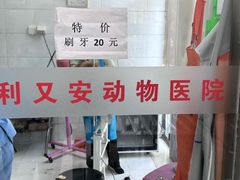 -利又安动物医院··老年病·猫科犬科·中兽医
