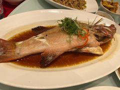 -成事园(真北店)