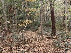 -南山风景名胜区