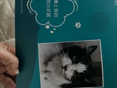 -美联众合动物医院·24h转诊中心