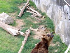 -无锡动物园·太湖欢乐园