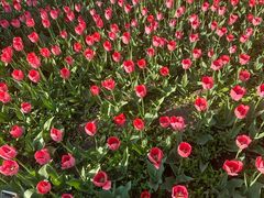 -长春公园(普阳街道)