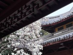-龙华寺