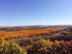 -塞罕坝国家级自然保护区