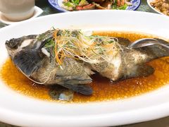清蒸青斑鱼-頂好酒家·经典粤菜(海信广场店)