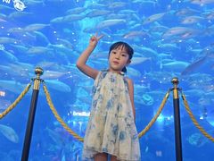 -成都浩海立方海洋公园