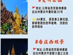 -野象谷景区