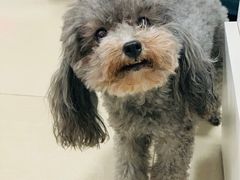 -渝是乎酸菜鱼·川渝小炒(新世界百货望京店)