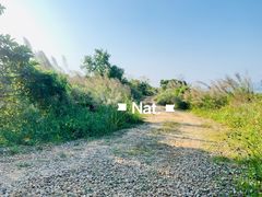-惠东观音山