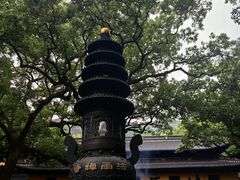 -普陀山风景区-佛顶山