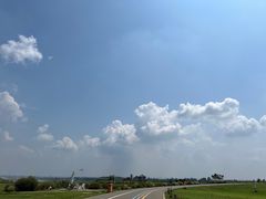 -空港花田景区