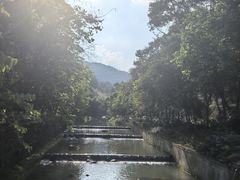 -广州白江湖森林公园