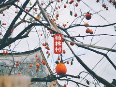 -丹山赤水风景名胜区