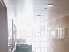 -东南大学附属中大医院(本部)