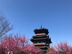 -杭州半山国家森林公园