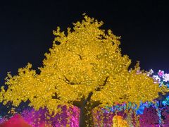 -国际非物质文化遗产博览园