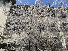 -南京林业大学-图书馆