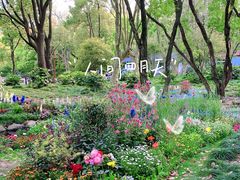 -上海共青森林公园