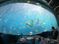 -瑞德姆美人鱼海底演艺主题餐厅(亚龙湾店)
