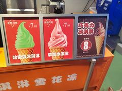-萨朗刀克冰淇淋雪花凉(植物园店)