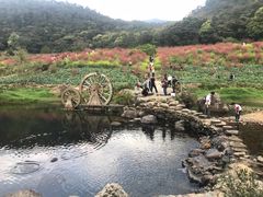 -广州市石门国家森林公园