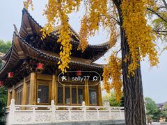 -上海东林寺(金山区)