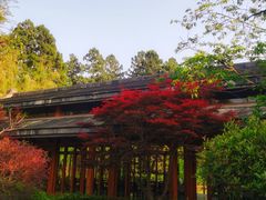 -和顺柏联温泉