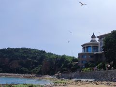 -棒棰岛宾馆景区