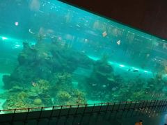 -成都浩海立方海洋公园