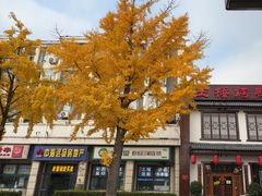 -玉桥餐厅(天坛店)