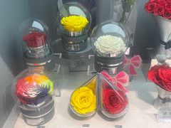 -ROSEONLY诺誓(国际广场购物中心店)