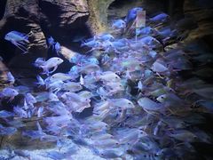 -成都浩海立方海洋公园