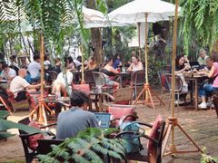 -Fern Forest Cafe