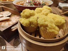 -同乐馆(阳光店)