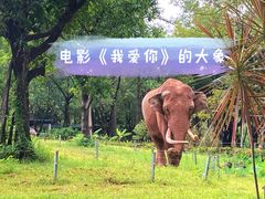 -广州长隆野生动物世界