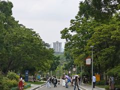 -东莞植物园