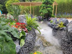 -深圳仙湖植物园