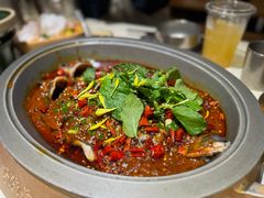 -黔渔翁豆花渎鱼(喷水池店)