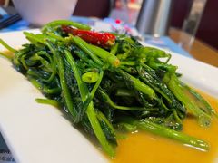 秘制虾酱炒空心菜-帕蓝·暹罗料理(曲阳店)