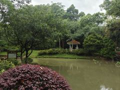 -火炉山森林公园