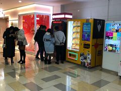 -鹏欣水游城