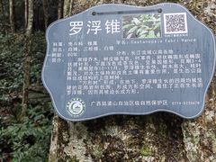 -姑婆山旅游区