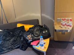 -苏州金鸡湖文博诺富特酒店