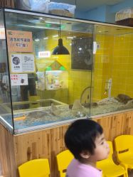 点击看大图 -神奇动物撸宠馆·羊驼·小浣熊·异宠(豫园店)