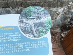 -佛慧山