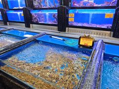 -万宝海鲜舫(劳动公园店)