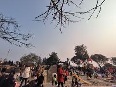 -铁山坪森林公园